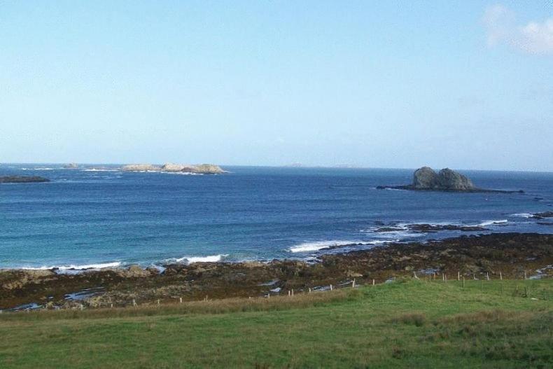 The Seaview Tavern Ballygorman المظهر الخارجي الصورة