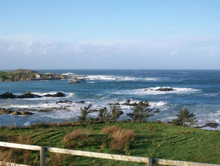 The Seaview Tavern Ballygorman المظهر الخارجي الصورة